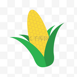 夏季蔬果蔬菜玉米图标