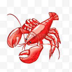 龙虾卡通图片_海鲜红色的龙虾插画