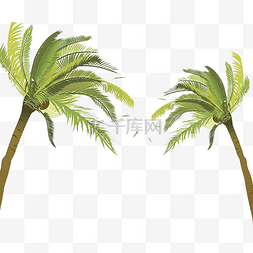 绿色椰子树图片图片_卡通手绘绿色椰子树免抠图