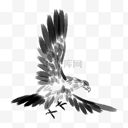 巴林国徽图片_手绘展翅的老鹰插画
