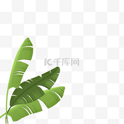 绿色清新春季图片_绿色叶子卡通png素材
