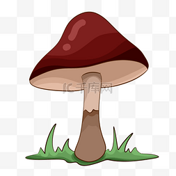蘑菇菌图片_灰红色蔬菜