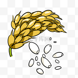 黄色粮食图片_黄色的大米手绘插画