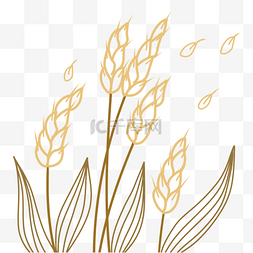 手绘秋天金黄的麦穗线性