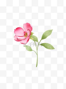 小花花卉手绘图片_小清新手绘粉色小花一支