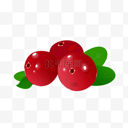 美洲水果蔓越莓免扣