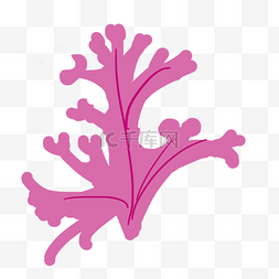 粉色水生海藻矢量插画
