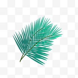 矢量绿色棕榈叶设计图