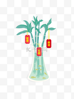 富贵竹植物图片_富贵竹花瓶