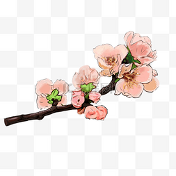 桃花朵朵开图片_卡通手绘淡粉色桃花插画