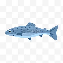 浅蓝色的深海鱼插画