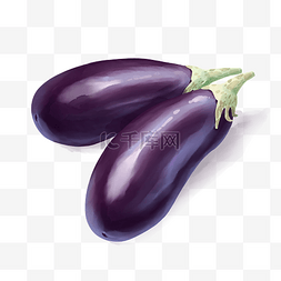 紫色的蔬菜茄子插画