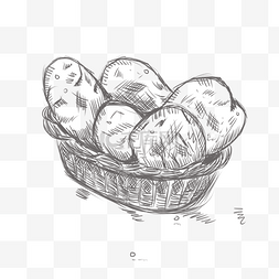 线描一篮子面包插画