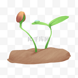 植物嫩芽图片_手绘春季破土的嫩芽插画