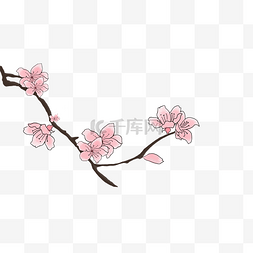 卡通桃花图片_春分桃花手绘插画