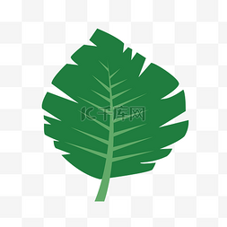 热带植物图片_卡通绿色棕榈叶叶子图