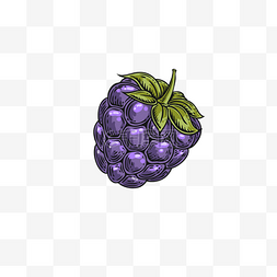 蓝紫色手绘复古水果