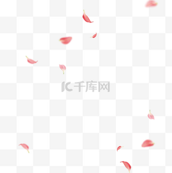 春天粉色漂浮的桃花瓣免扣