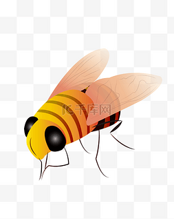 logo透明图片_矢量手绘卡通小蜜蜂