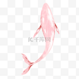 粉色的鲸鱼手绘设计图