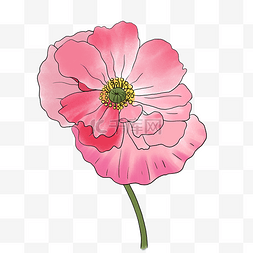 植物轻柔图片_手绘植物花卉粉红色轻柔花朵花店