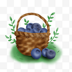 暑假采摘篮子蓝莓