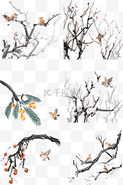 中国风古典手绘花鸟果水墨矢量图
