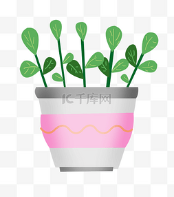 绿色植物粉色花盆盆栽