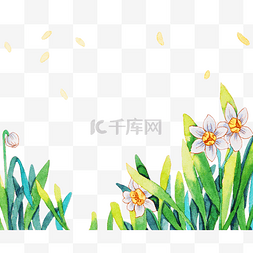 春天来了边框图片_草丛中白色的小花插画