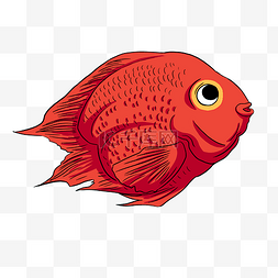 红色卡通金鱼图片_美丽卡通鱼类红色金鱼血鹦鹉金鱼