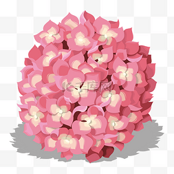 粉红浪漫矢量绣球花朵