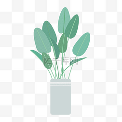 淡绿图片_小清新手绘植物瓶装大叶绿植