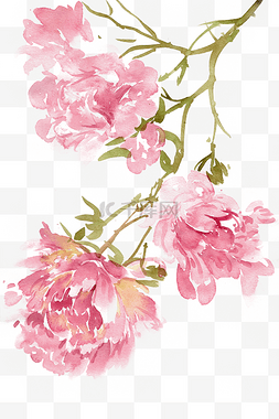 粉色水墨画图片_水墨粉色的牡丹花