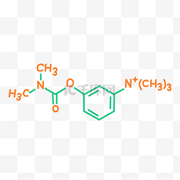 生物分子结构