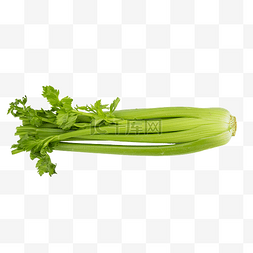 绿色蔬菜芹菜