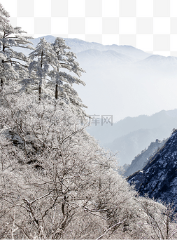 白雪皑皑的群山图片_松树白雪和雾凇
