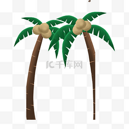 植物热带椰树叶子图片_两颗热带椰子树