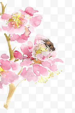 采蜜蜜蜂图片_桃花与蜜蜂