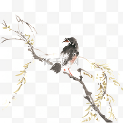 柳树枝上的鸟水墨画PNG免抠素材
