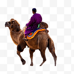 人骑在骆驼上