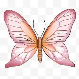 美丽的粉色蝴蝶插画
