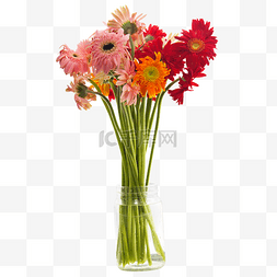 玻璃花瓶图片_玻璃花瓶里的彩色菊花