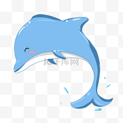 海豚海豚图片_一条蓝色海豚