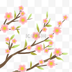 立春粉色桃花