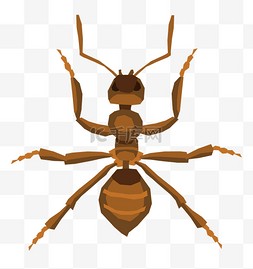 一只蚂蚁虫子