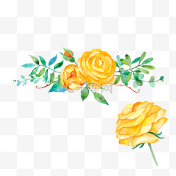 水彩风手绘黄色蔷薇花朵矢量图