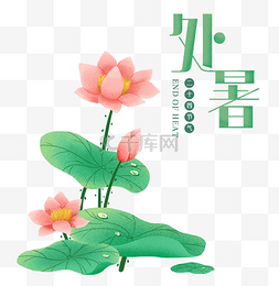 二十四节气小暑图片_二十四节气处暑荷花