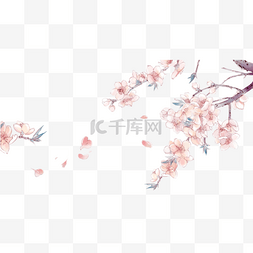 春天桃花花枝图片_手绘樱花花枝免抠素材