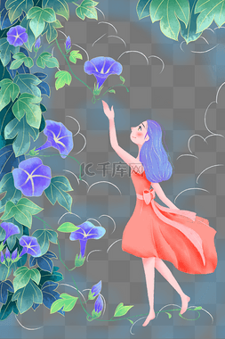 牵牛花篱笆图片_原创立夏时节牵牛花开