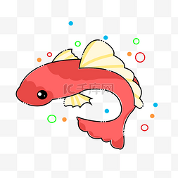 一条红色金鱼